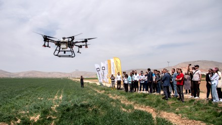 Selçuk Üniversitesi Ziraat Fakültesi çiftliğinde drone ile ilaçlama yapıldı